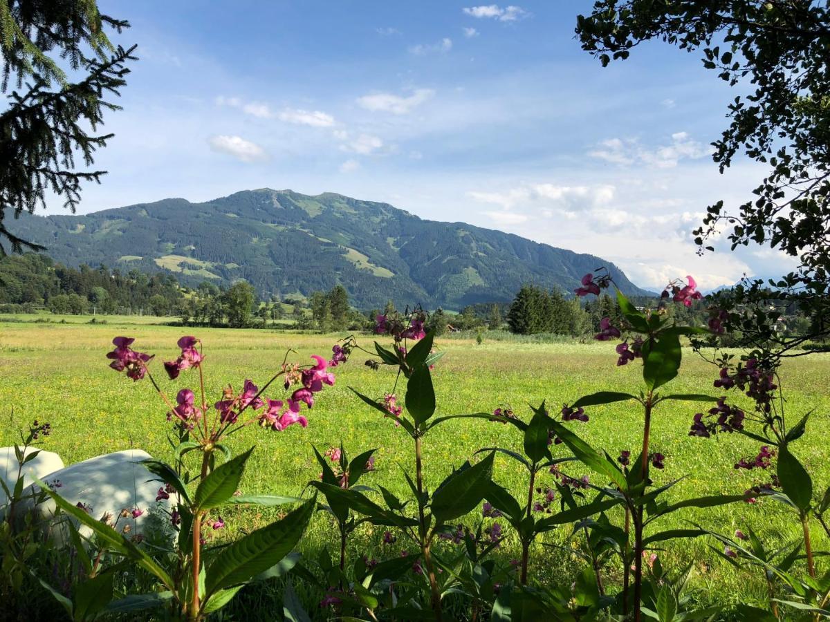 Pension Erlhof Saalfelden Exteriér fotografie