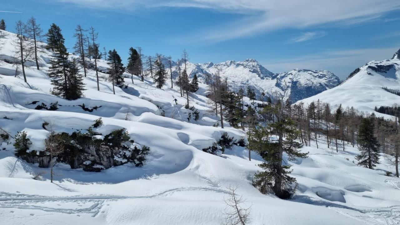 Pension Erlhof Saalfelden Exteriér fotografie