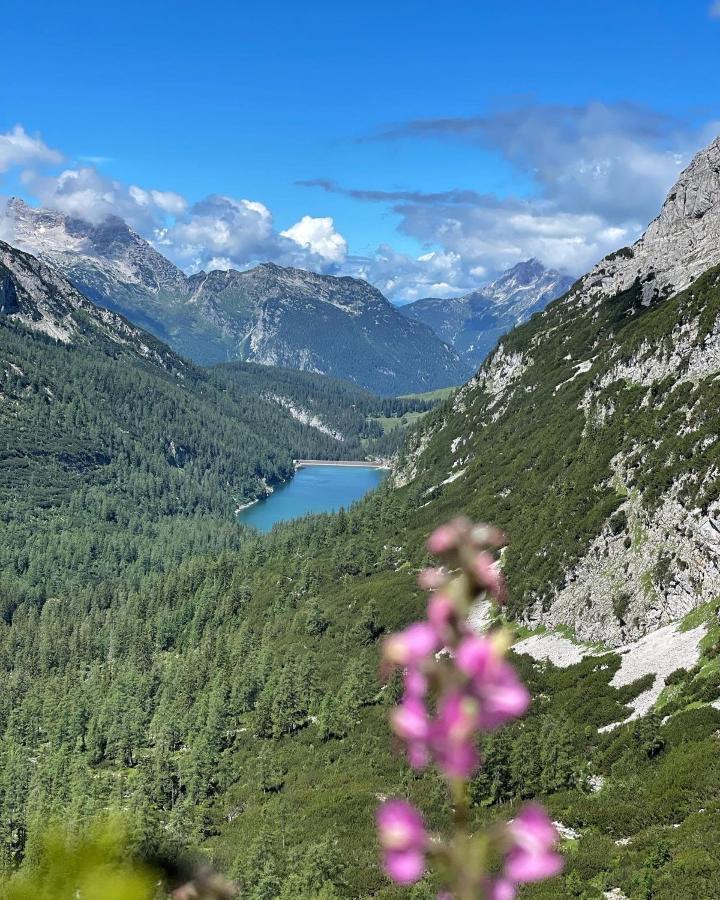 Pension Erlhof Saalfelden Exteriér fotografie