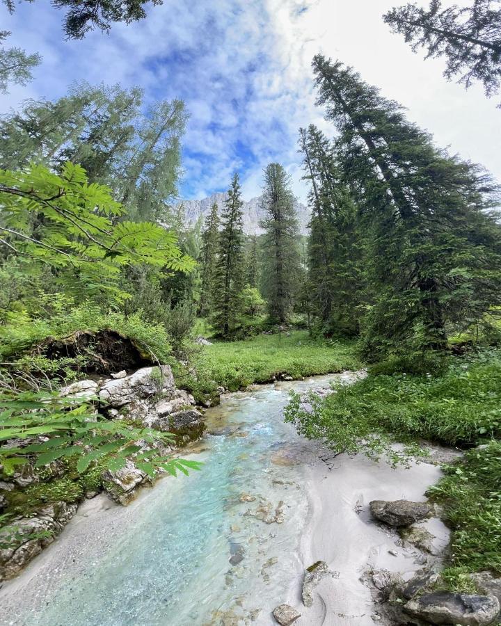 Pension Erlhof Saalfelden Exteriér fotografie