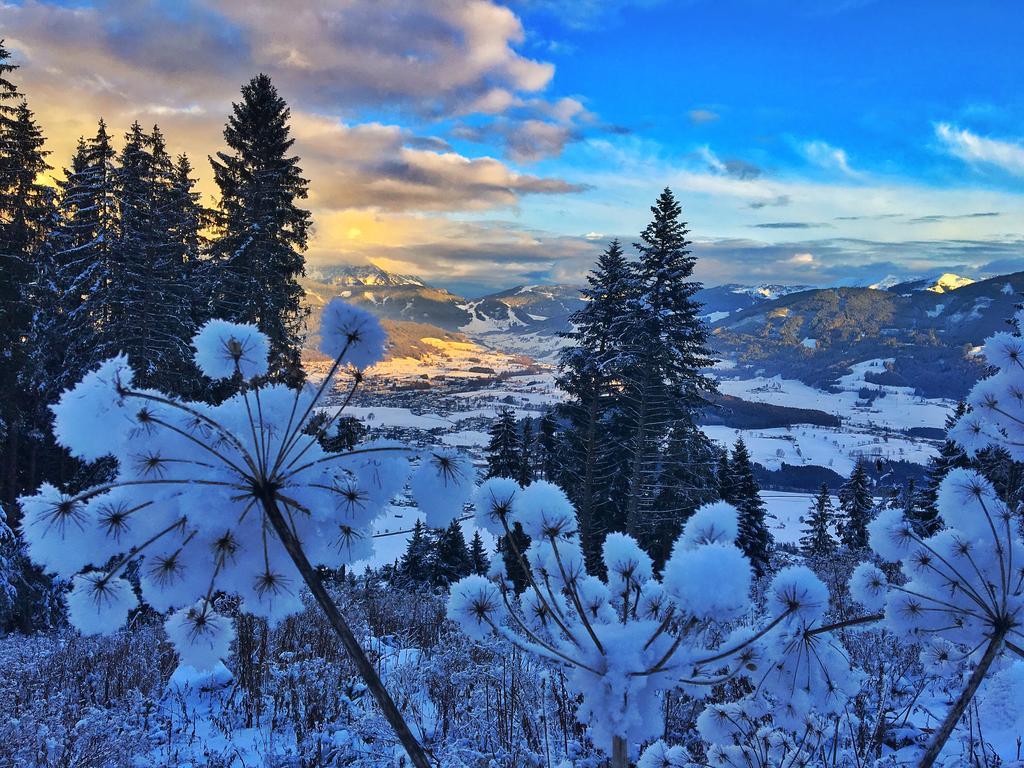 Pension Erlhof Saalfelden Exteriér fotografie