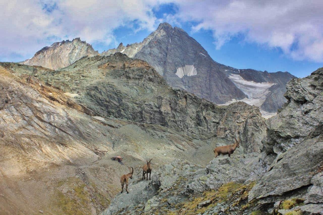 Pension Erlhof Saalfelden Exteriér fotografie