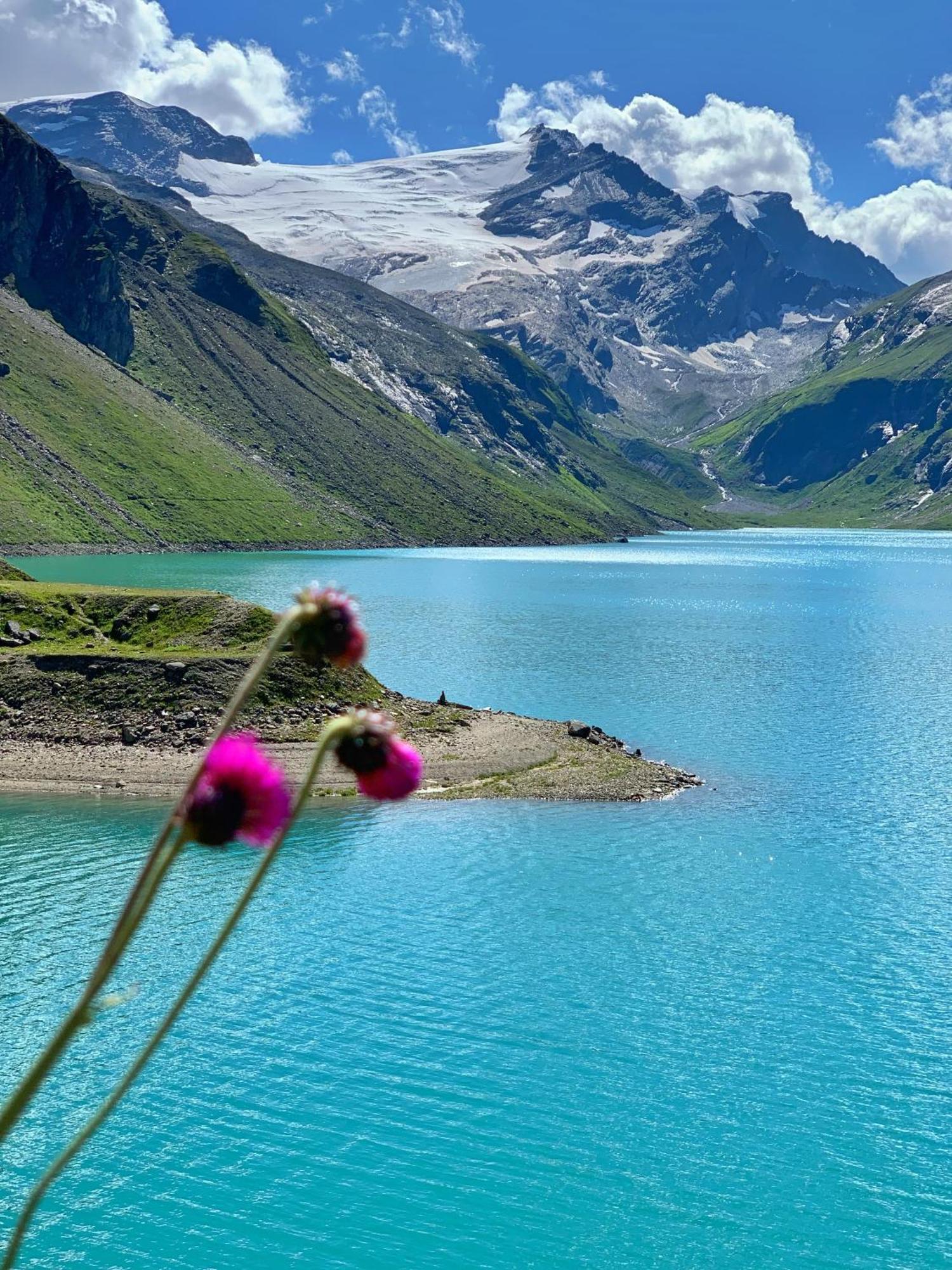 Pension Erlhof Saalfelden Exteriér fotografie