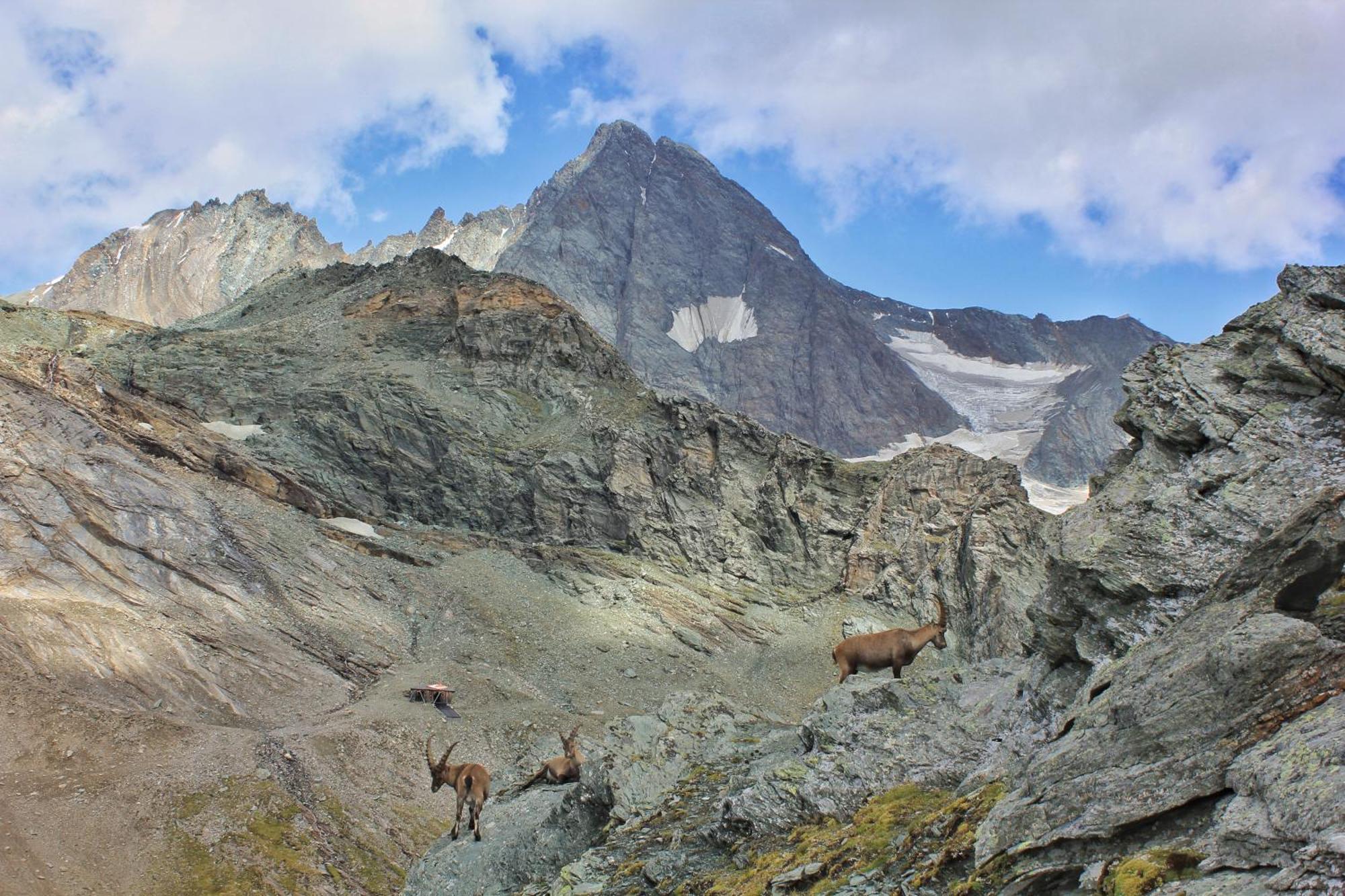 Pension Erlhof Saalfelden Exteriér fotografie