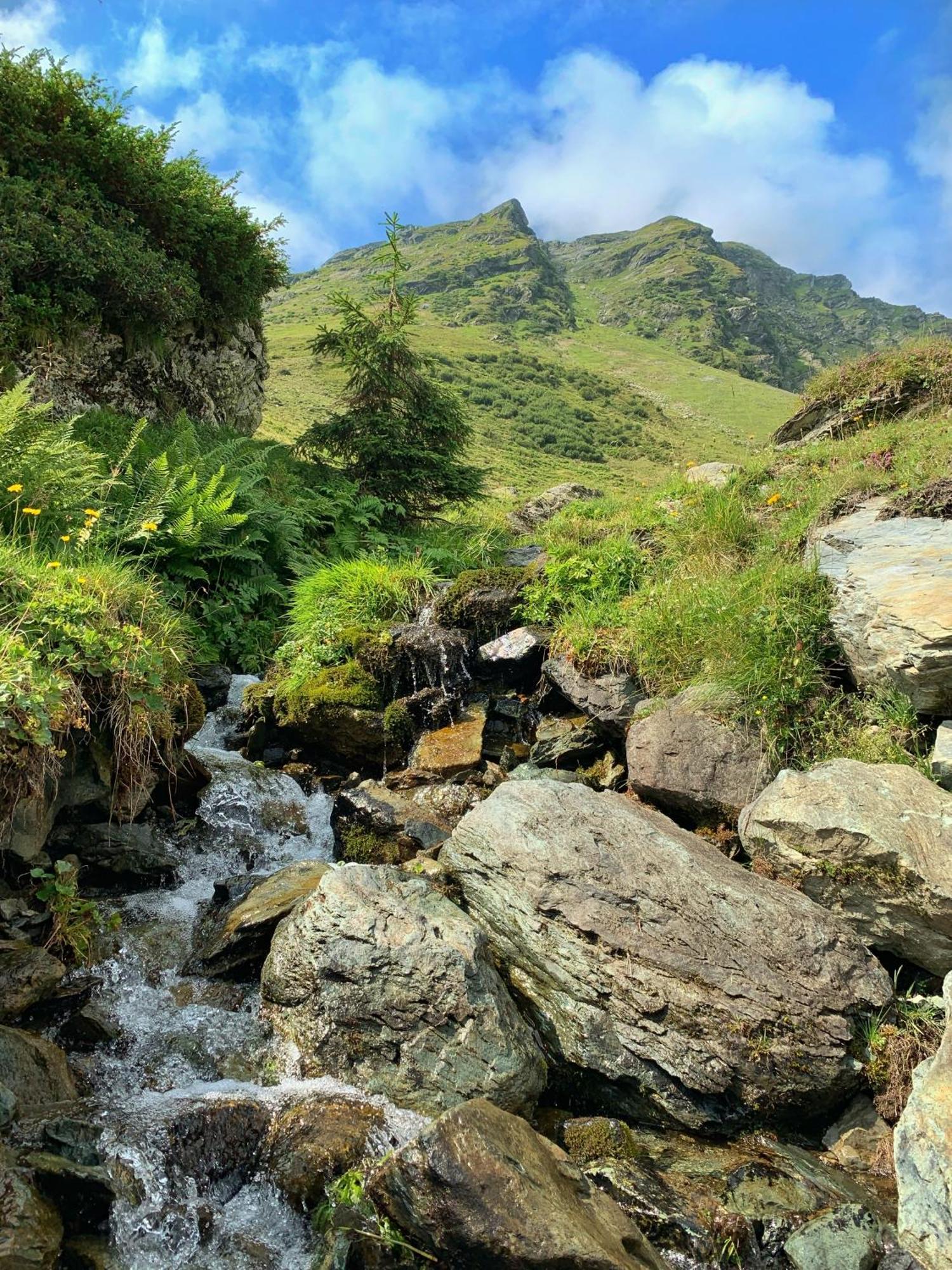 Pension Erlhof Saalfelden Exteriér fotografie