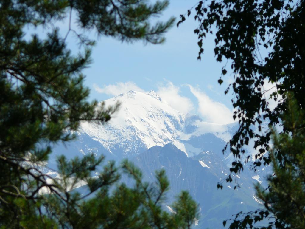 Pension Erlhof Saalfelden Pokoj fotografie